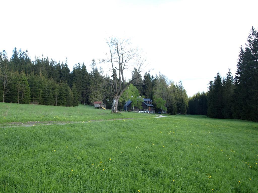 Chata Pod Koberstejnem Rejvíz エクステリア 写真